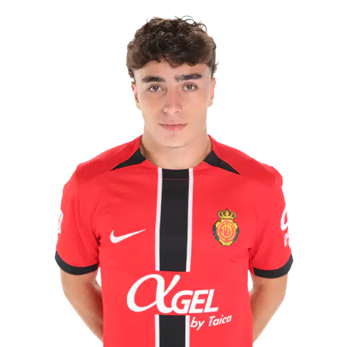 Ян Виргили Тенас