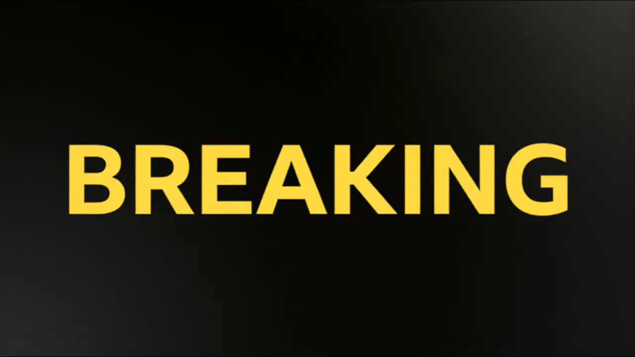 Александр Исак получил перелом ноги в матче с Тоттенхэмом