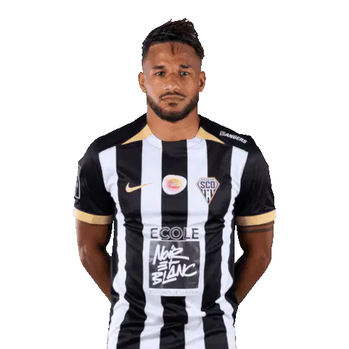 Джим Эмильен Нгогет Аллевина