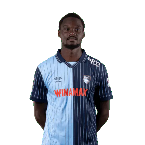 Энди Элизе Логбо