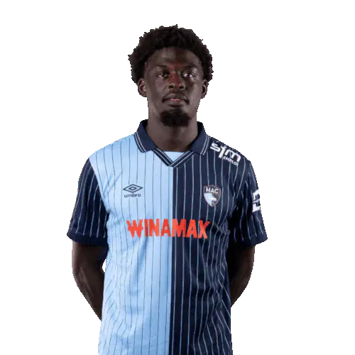 Этьен Лудовик Юте Кинкуэ