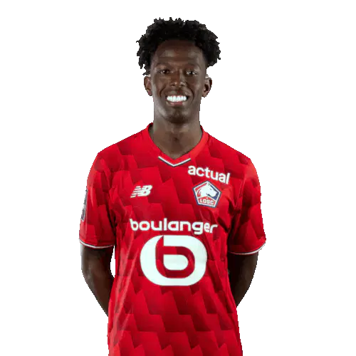 Феликс Андраде Санчес Коррея