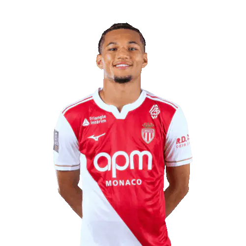 Парис Бруннер