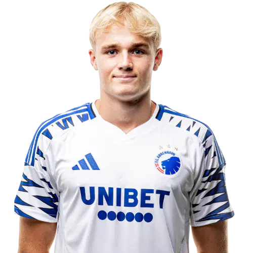 Виктор Фрохольдт